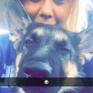 Meet your Posher, Hannah